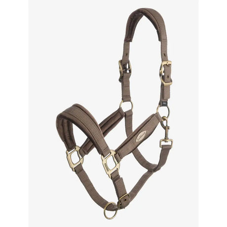 Lemieux Versailles Headcollar Walnut Cob Headcollars & Leadropes Barnstaple Equestrian Supplies