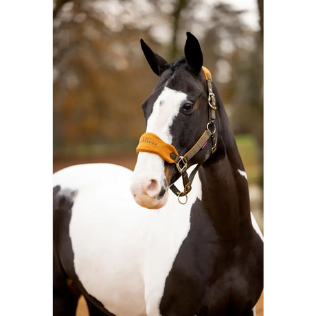 Lemieux Vogue Headcollar Alpine - Headcollars