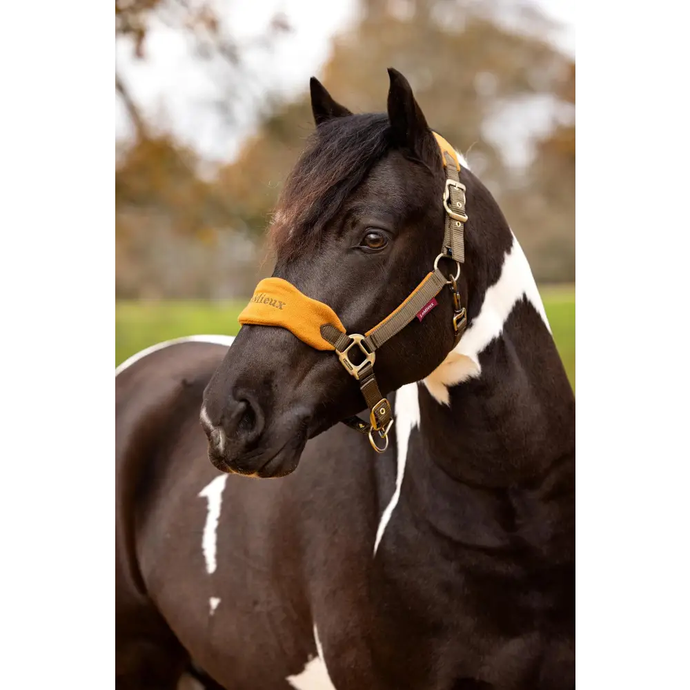 Lemieux Vogue Headcollar Alpine - Headcollars