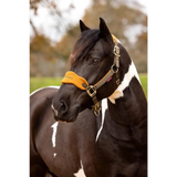 Lemieux Vogue Headcollar Alpine - Headcollars