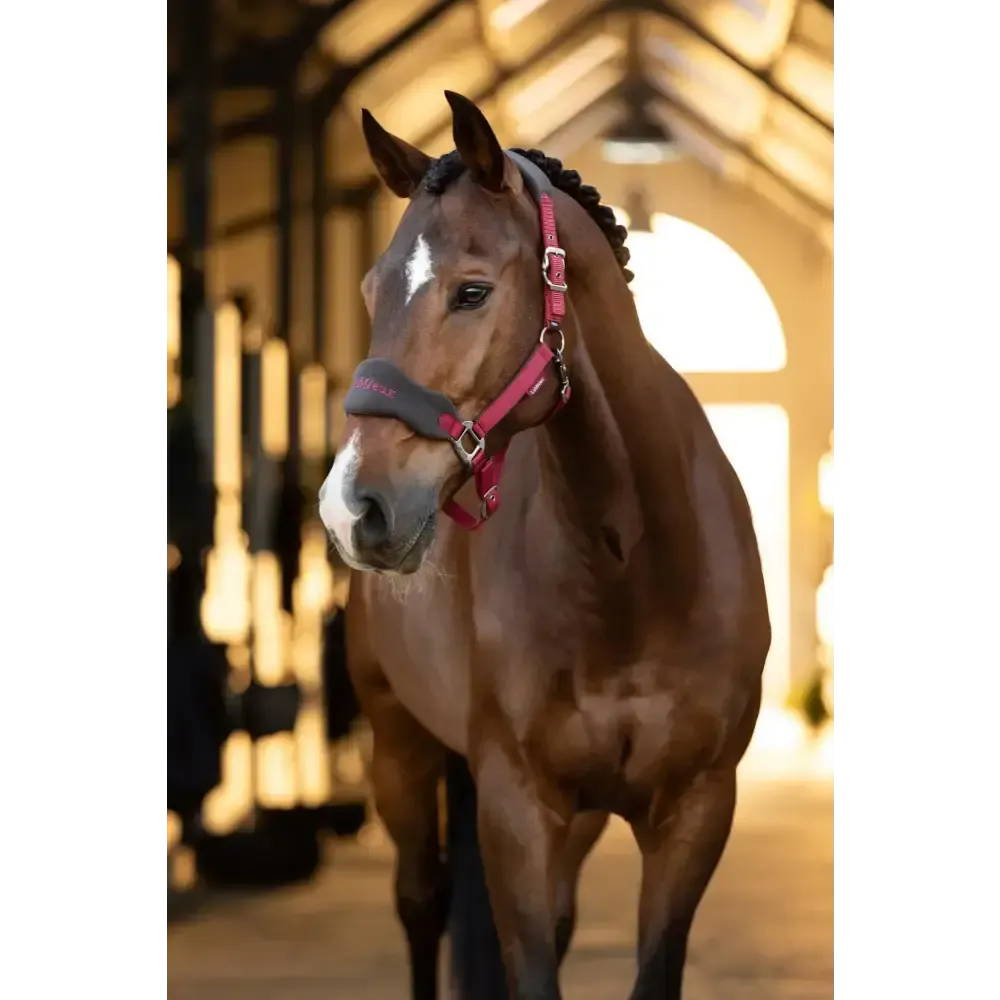 Lemieux Vogue Headcollar Ember Pony Ember Headcollar Sets
