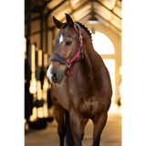 Lemieux Vogue Headcollar Ember Pony Ember Headcollar Sets