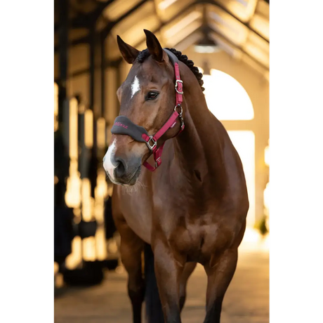 Lemieux Vogue Headcollar Ember - Headcollars