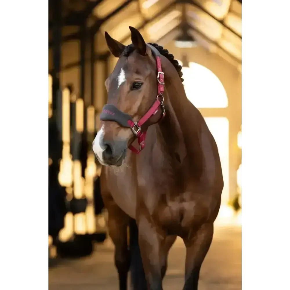Lemieux Vogue Headcollar Ember Pony Ember Headcollar Sets