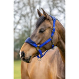 Bright blue nylon lemieux vogue headcollar with leadrope benetton blue and metal buckles featuring fleece inserts