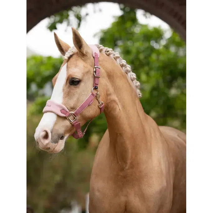 Lemieux Vogue Headcollar & Leadrope Blossom Blossom Pony Headcollar Sets
