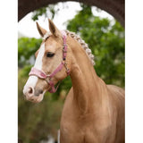 Lemieux Vogue Headcollar & Leadrope Blossom Blossom Pony Headcollar Sets