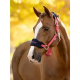 Lemieux Vogue Headcollar & Leadrope Cranberry Cranberry Pony Headcollar Sets