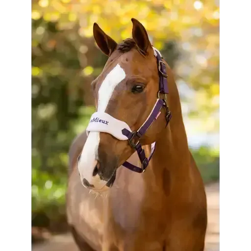 Lemieux Vogue Headcollar & Leadrope Juniper Juniper Pony Headcollar Sets
