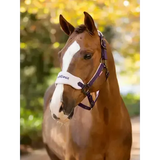 Lemieux Vogue Headcollar & Leadrope Juniper Juniper Pony Headcollar Sets