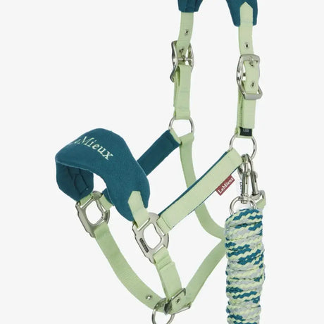 Teal and pale green lemieux vogue headcollar with fleece inserts and matching leadrope macaron braided rope with silver hardware