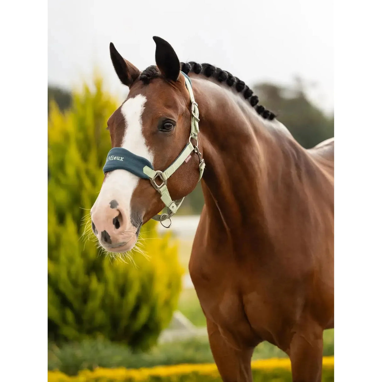 Lemieux Vogue Headcollar & Leadrope Macaron Macaron Pony Headcollar Sets