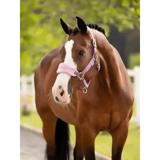 Lemieux Vogue Headcollar & Leadrope Mallow Mallow Pony Headcollar Sets