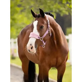 Lemieux Vogue Headcollar & Leadrope Mallow Mallow Pony Headcollar Sets