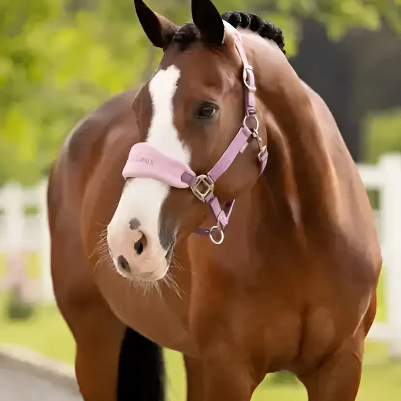 Pink lemieux vogue headcollar with silver hardware and leadrope mallow featuring soft fleece inserts