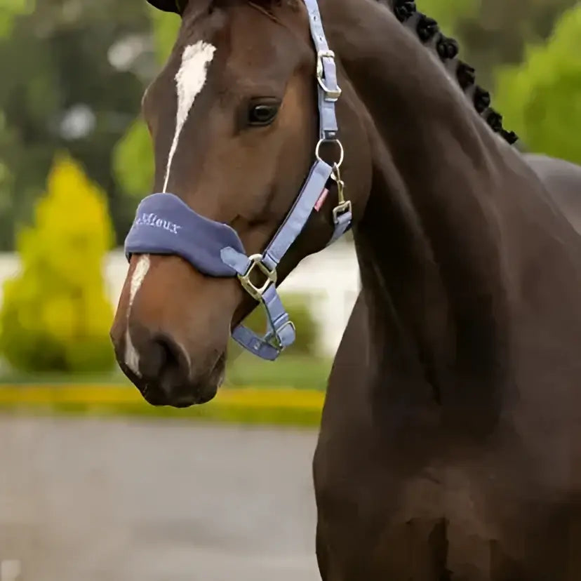 Blue lemieux vogue headcollar with adjustable straps metal hardware and leadrope powder blue featuring fleece inserts