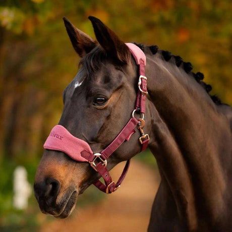 LeMieux Vogue Headcollar Orchid  - Barnstaple Equestrian Supplies