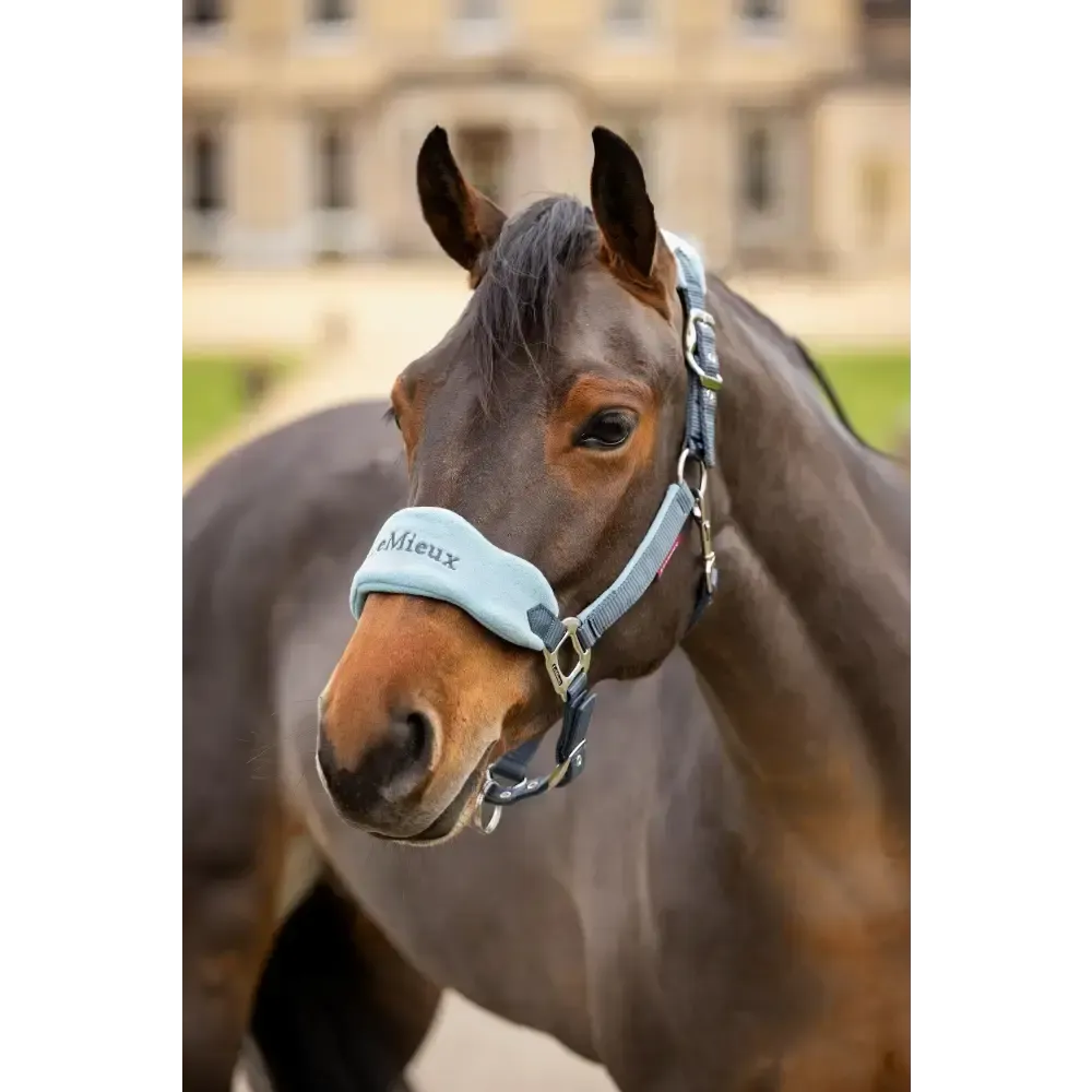 Lemieux Vogue Headcollar Petrol Pony Petrol Headcollar Sets