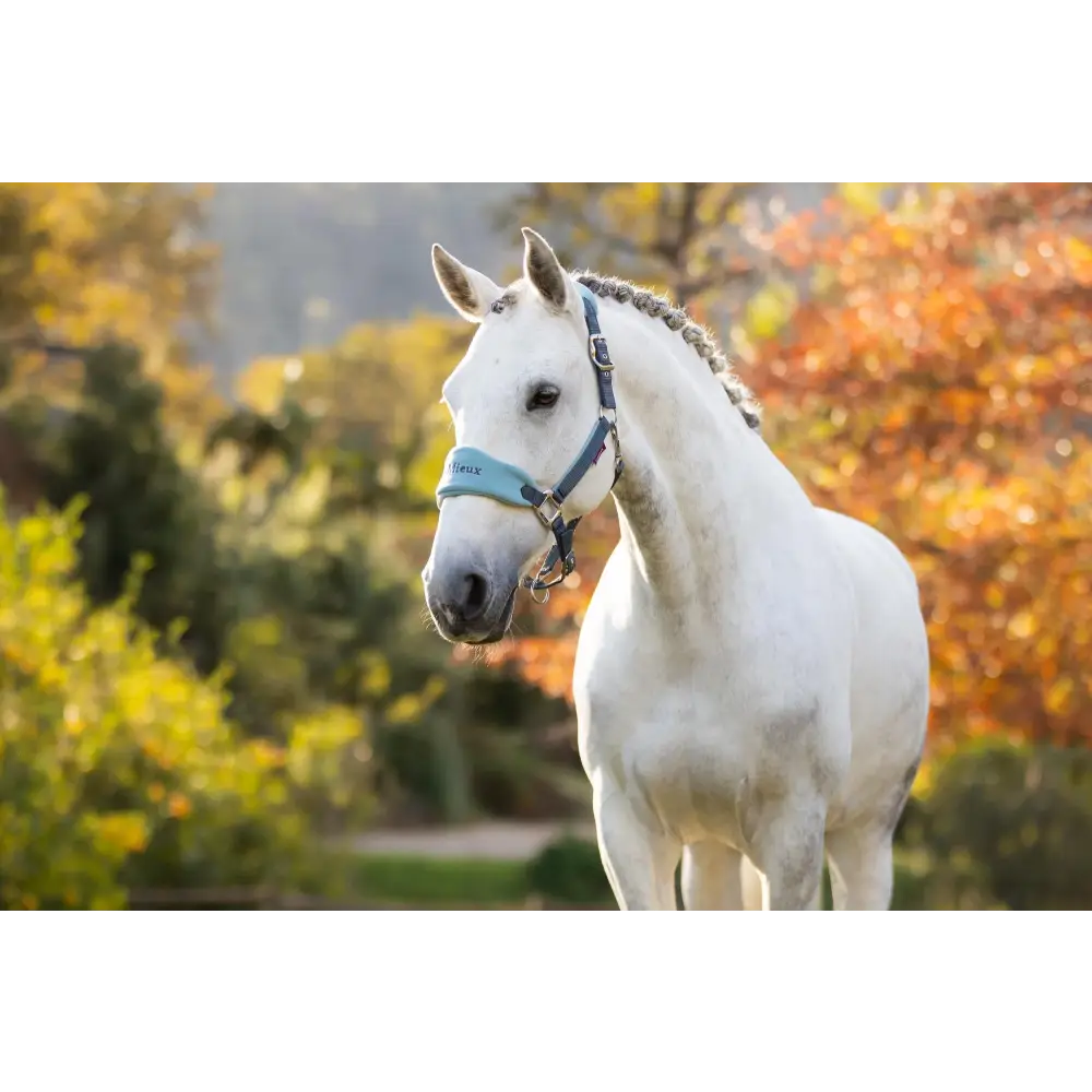 Lemieux Vogue Headcollar Petrol - Headcollars