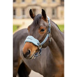 Lemieux Vogue Headcollar Petrol - Headcollars