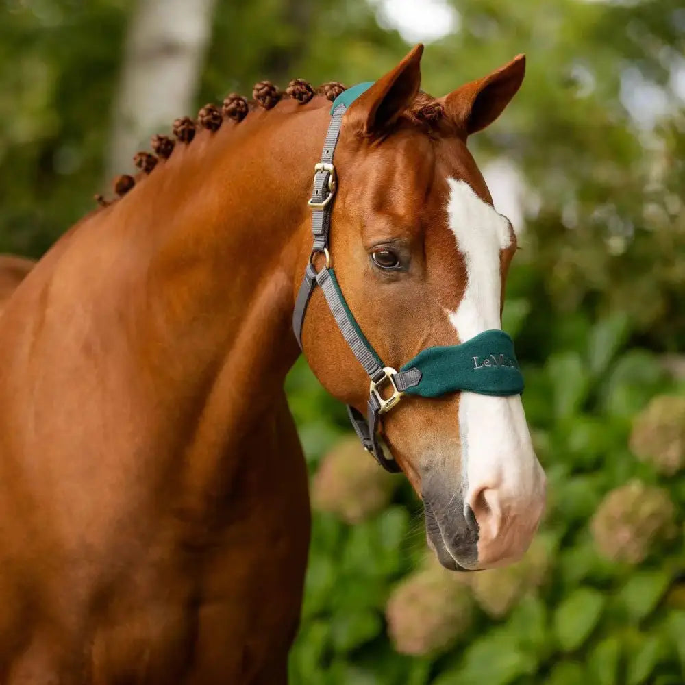 LeMieux Vogue Headcollar Spruce Pony Headcollar Sets