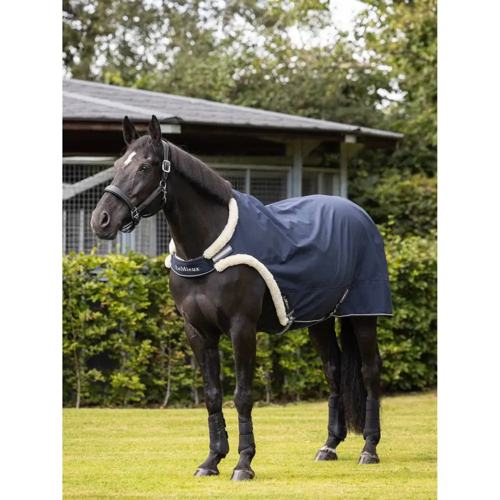 Lemieux Walker Rug Navy Small Horse Walker Rugs Barnstaple Equestrian Supplies