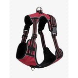 LeMieux Wellow Dog Harness Burgundy Small Dog Harness