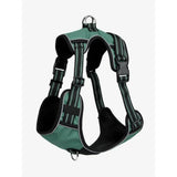 LeMieux Wellow Dog Harness Sage X Large Dog Harness