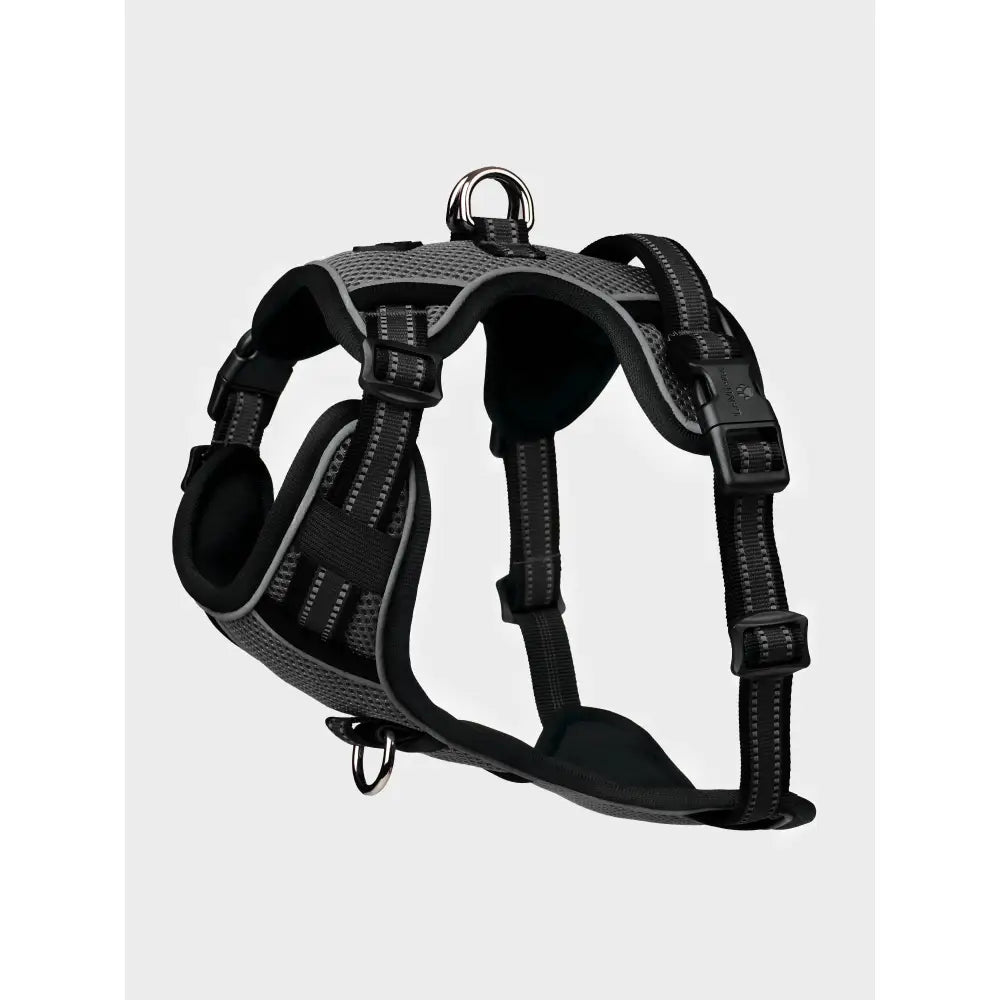 Lemieux Winchester Dog Harness Black Black Medium Dog Harness