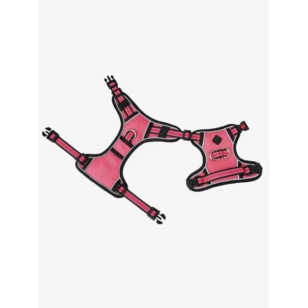 Lemieux Winchester Dog Harness Watermelon Watermelon Medium Dog Harness