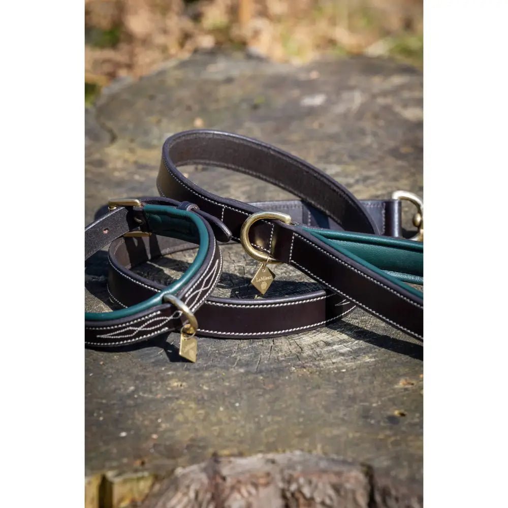 LeMieux Windsor Dog Collar Green/Brown Small Dog Collar