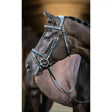 Black leather lemieux work bridle with silver hardware and raised padded noseband for comfortable riding