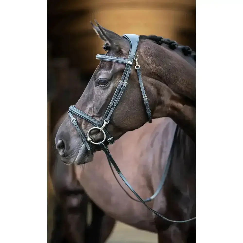 Black leather lemieux work bridle with silver hardware and raised padded noseband for comfortable riding