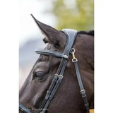 Black leather lemieux work bridle with raised padded noseband silver hardware and small logo on browband