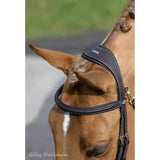Black leather lemieux work bridle with raised padded noseband silver stitching and brass hardware for riding use