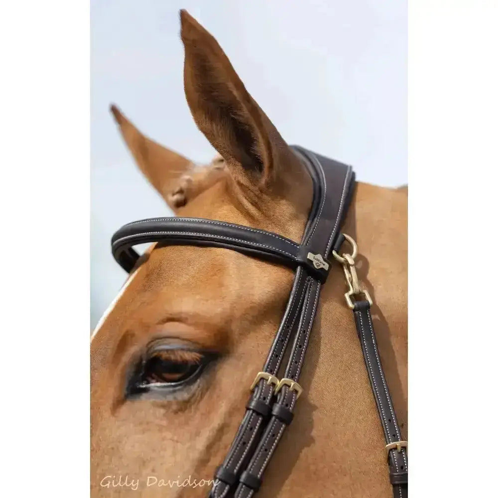 Black leather lemieux work bridle with raised padded noseband gold hardware and white stitching for work bridle allow