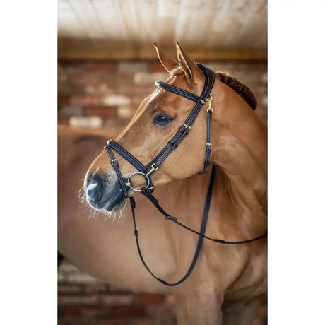 Black leather lemieux work bridle with raised padded noseband and gold hardware for comfortable work riding