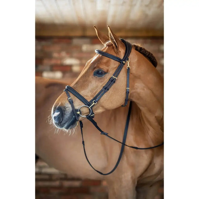 Black leather lemieux work bridle with raised padded noseband and gold hardware for comfortable work riding