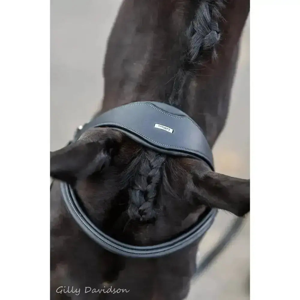 Dark gray leather lemieux work bridle with stitched edges small silver brand plaque and raised padded noseband