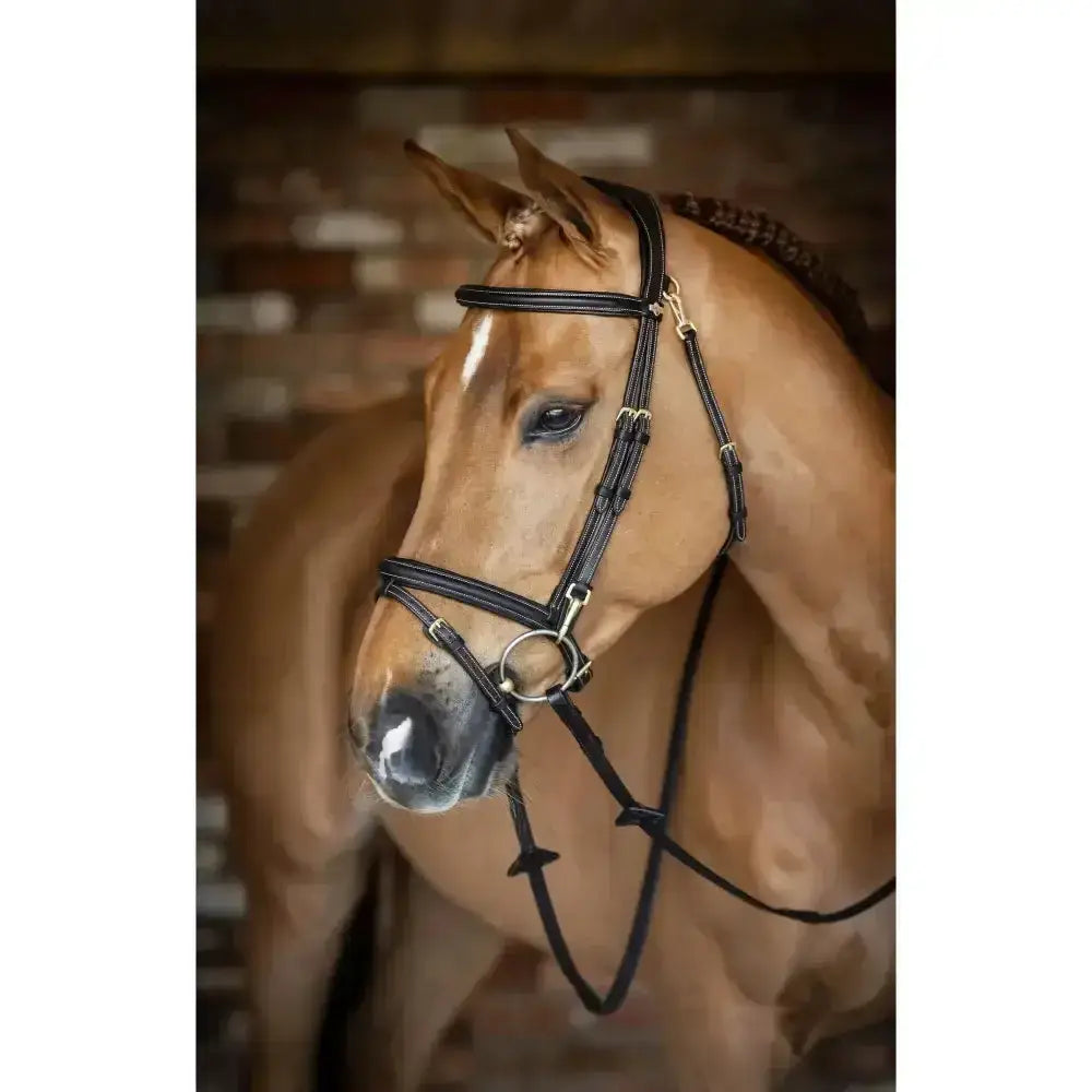 Black leather lemieux work bridle with raised padded noseband and gold-toned metal hardware for riding use