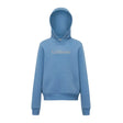 A soft ice blue lemieux young rider classique hoodie with a subtle embroidered logo across the chest