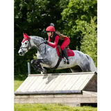 LeMieux Young Rider Pull On Breech Chilli 7-8 Years Chilli Breeches