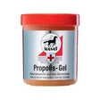 Leovet First Aid Propolis-Gel
Barnstaple Equestrian Supplies 