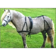 Libbys Basic Driving Harness with Reins Mini 