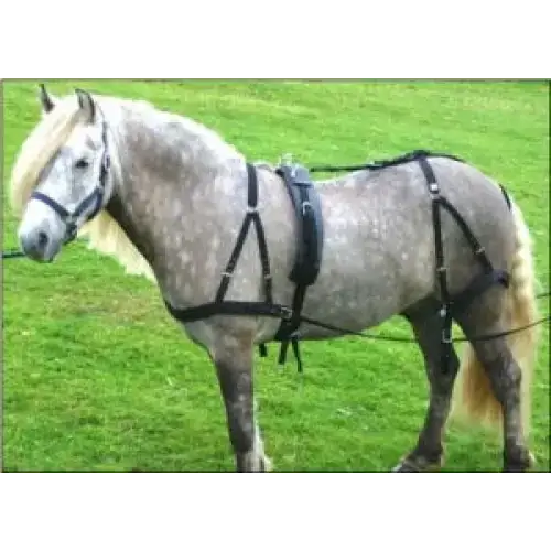 Libbys Basic Driving Harness with Reins Mini 