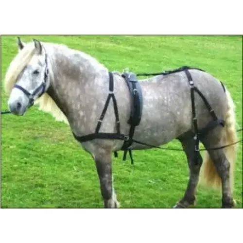 A gray dapple horse wearing libbys basic driving black leather harness with reins basic driving harness pony tack
