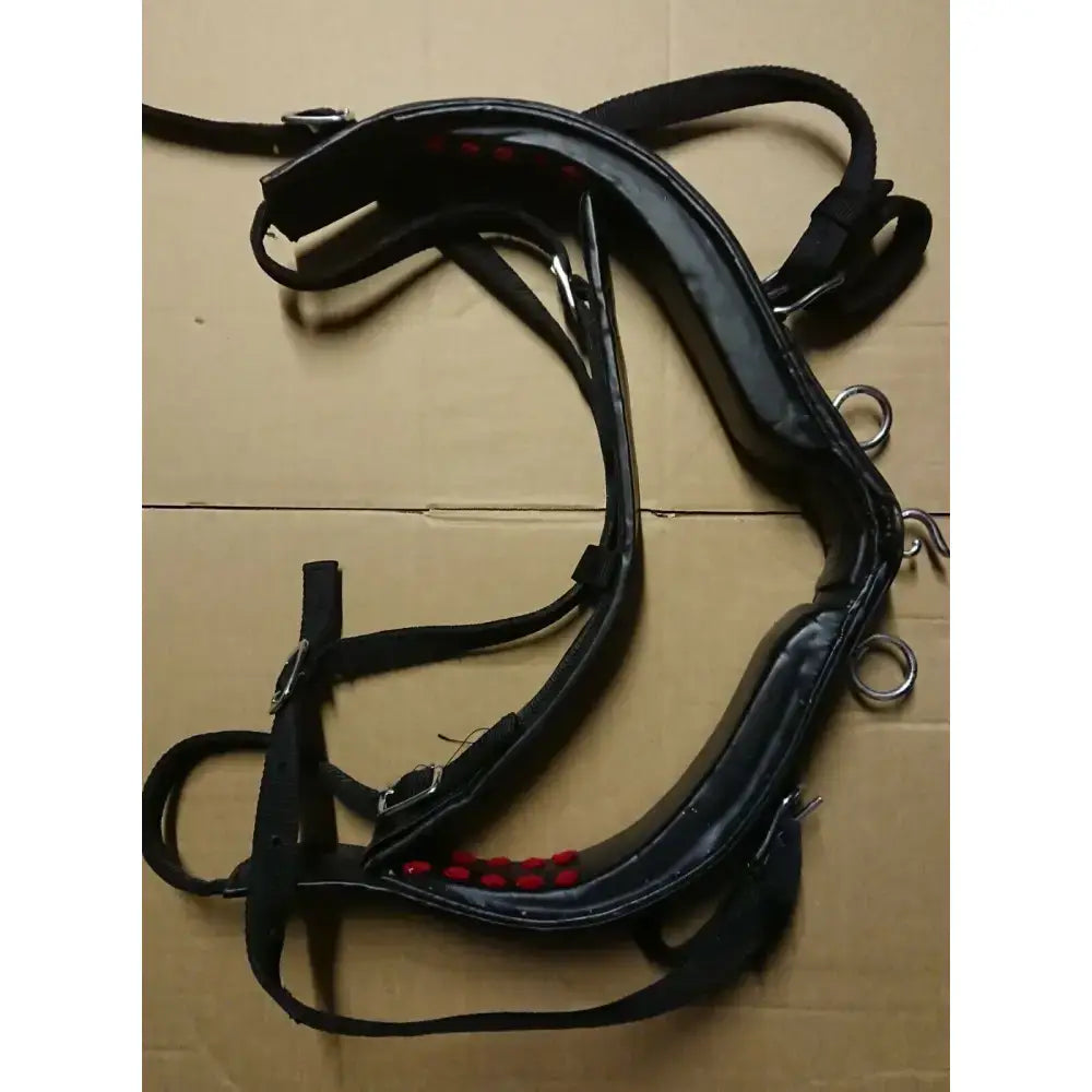 Black leather harness with red stitching and metal hardware from libbys driving saddle featuring webbing tugs and belly band