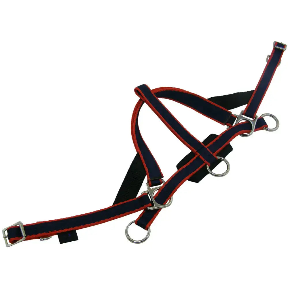 Navy blue and red libbys scawbrig noseband harness with silver metal hardware for small pony use