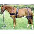 Libbys Ultimate Driving Harness Navy/Red Mini 
