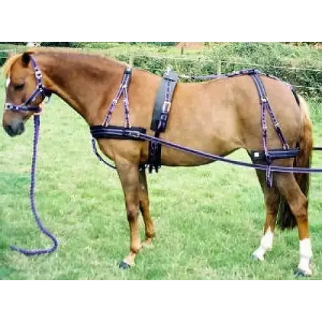 Libbys Ultimate Driving Harness Navy/Red Mini 